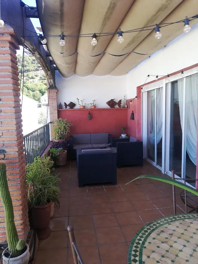 Comfortable Single Bluing Room B&B Granada Spain